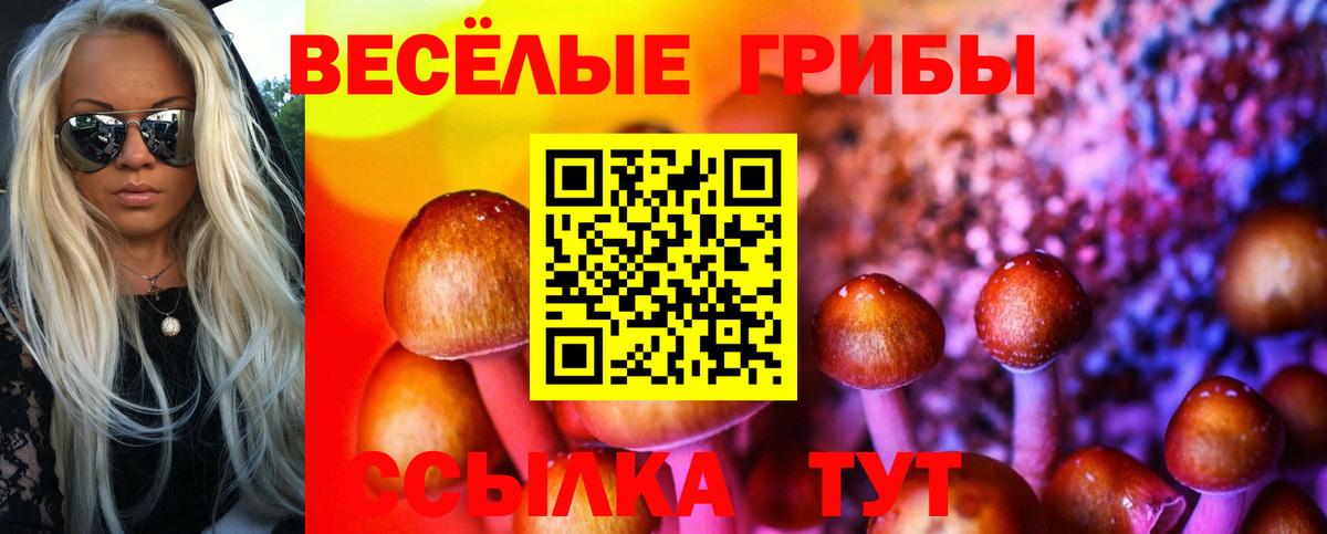 Югорск  Галлюциногенные грибы Psilocybe  Вход с VPN 